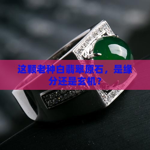 老种白翡翠原石
