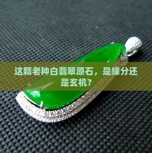 老种白翡翠原石