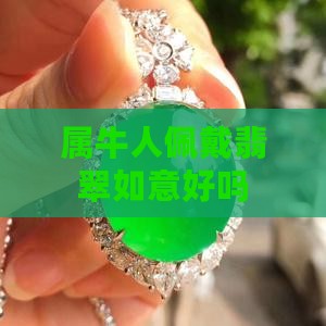 属牛人戴翡翠如意好么