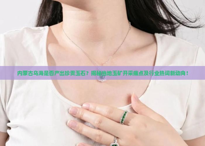 内蒙古乌海出玉石吗