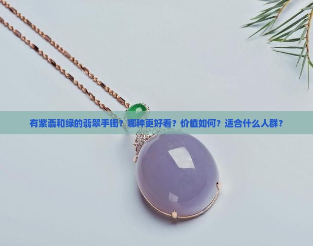 有紫翡和绿的翡翠手镯
