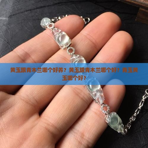黄玉跟青木兰哪个好