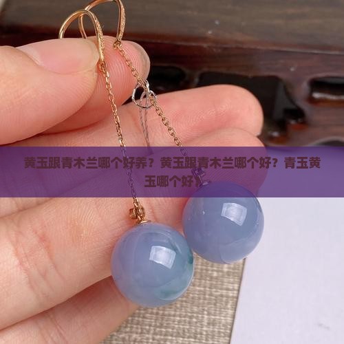 黄玉跟青木兰哪个好