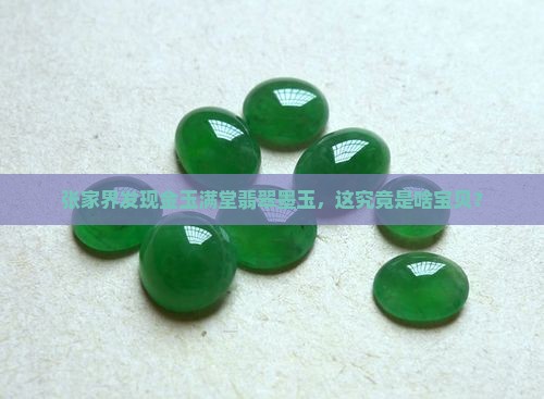 张家界金玉满堂翡翠墨玉