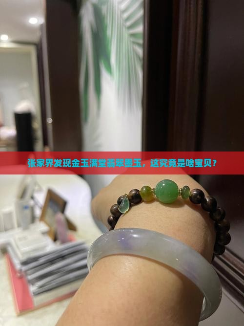 张家界金玉满堂翡翠墨玉