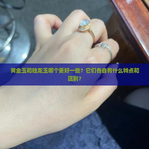 黄金玉和独龙玉哪个好一点