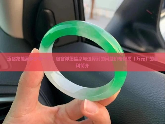 玉猪龙能卖多少钱一只