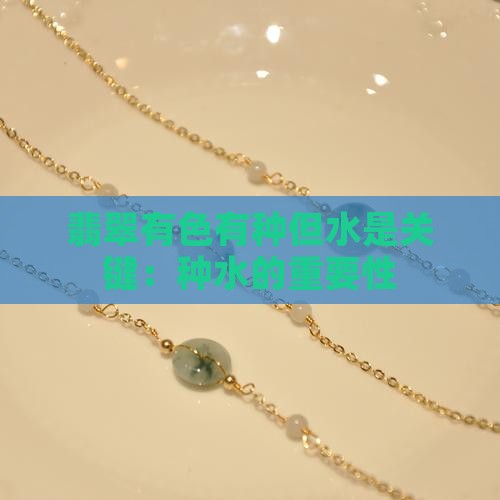 翡翠有色有种没水是