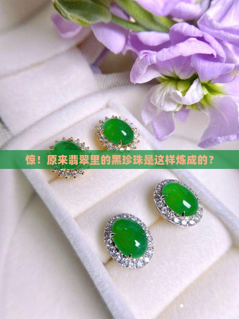 翡翠黑色干青 翡翠黑色干青