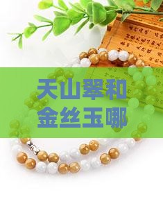 天山翠和金丝玉哪种好
