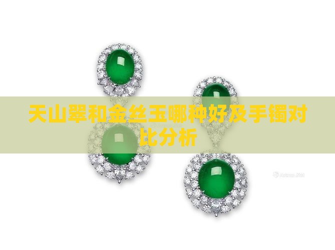 天山翠和金丝玉哪种好