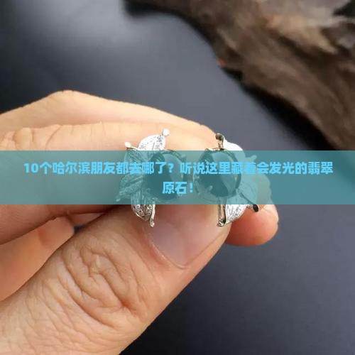 哈尔滨翡翠原石