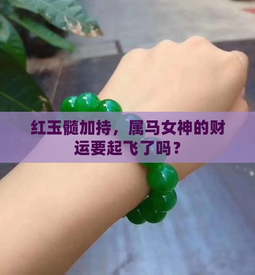 属马女戴红玉髓旺财吗