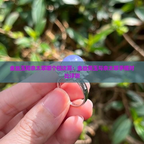 金丝玉和佘太翠哪个档次高