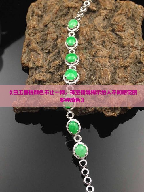 白玉菩提只有白色吗