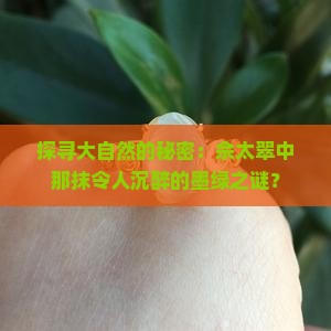 佘太翠墨绿色