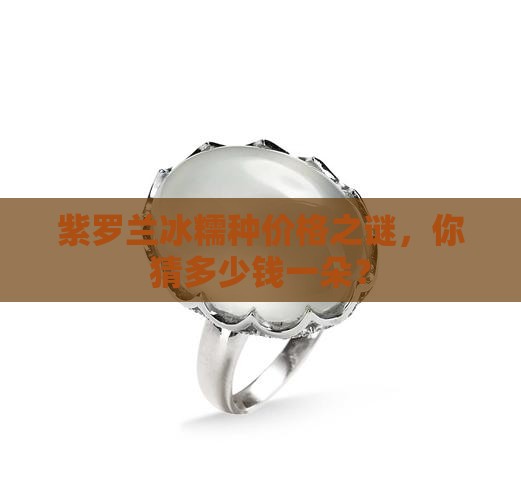 紫罗兰冰糯种在什么价位