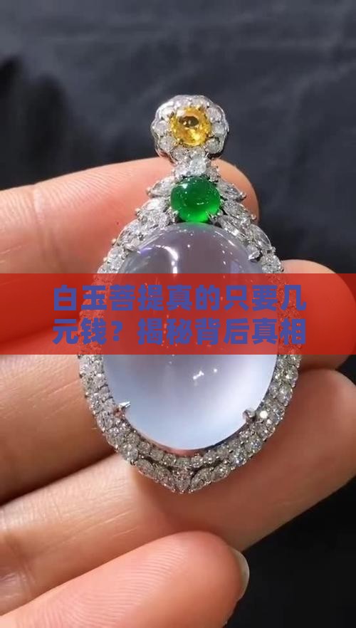 白玉菩提几元钱是真的吗