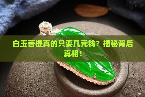 白玉菩提几元钱是真的吗
