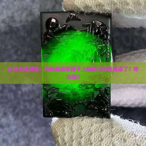 翡翠装银扣