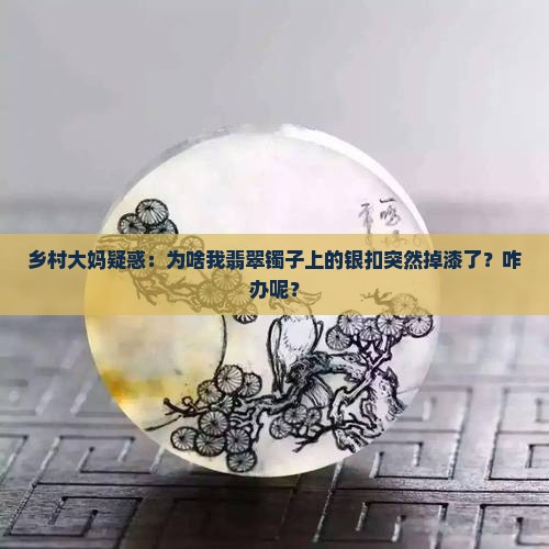 翡翠装银扣