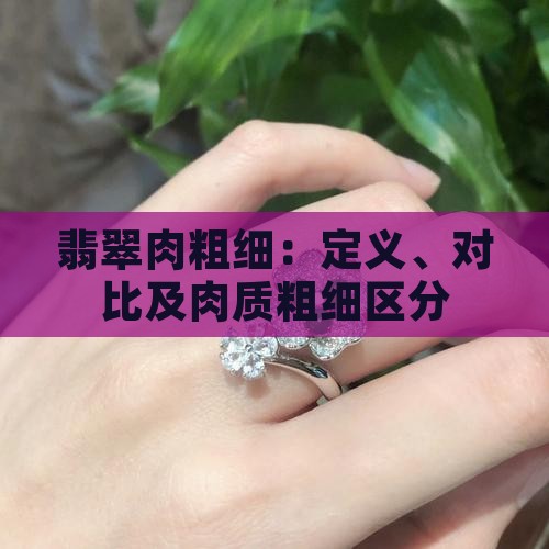 翡翠肉粗细 翡翠肉粗细
