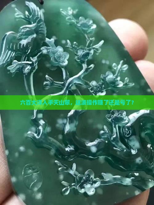 天山翠六百块钱买贵吗 天山翠六百块钱买贵吗