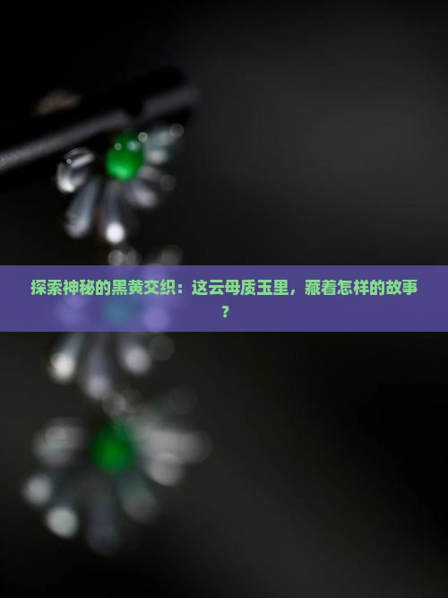黑黄云母质玉