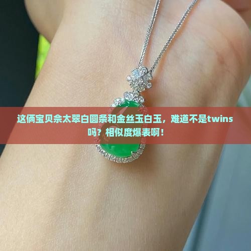 佘太翠白圆条和金丝玉白玉像不像