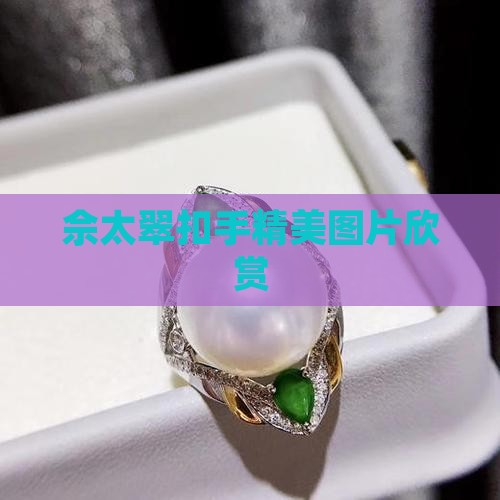 佘太翠扣手