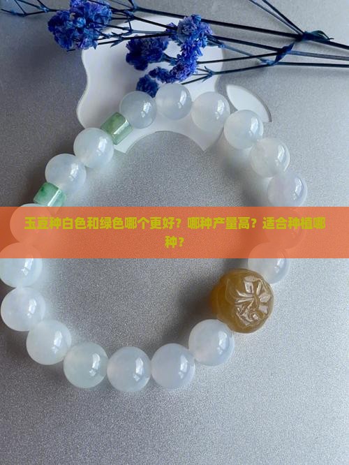 玉豆种白色还是绿色好