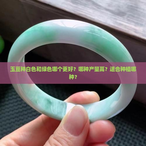 玉豆种白色还是绿色好