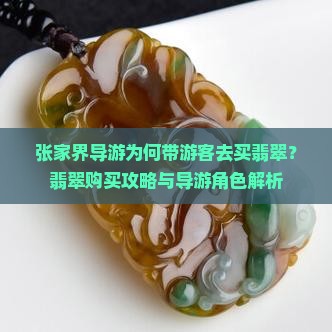 张家界导游带去买翡翠