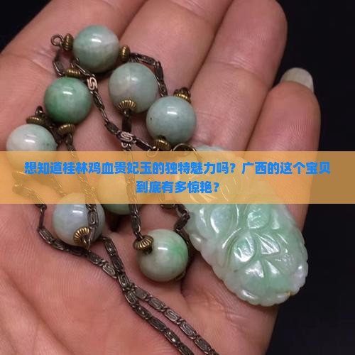 广西桂林鸡血贵妃玉怎么样