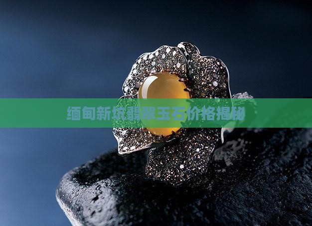 缅甸新坑翡翠玉石