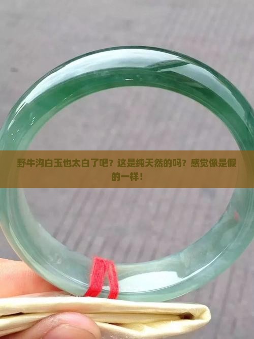 野牛沟白玉颜色太白了