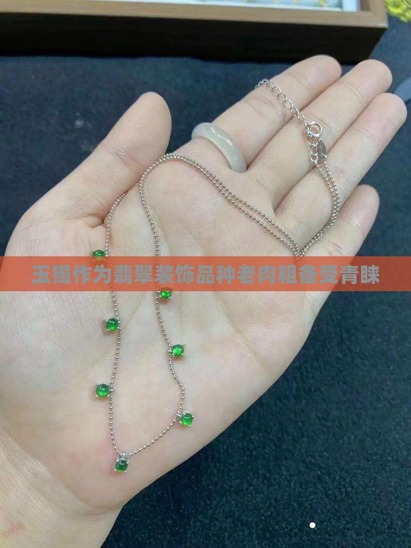 玉镯种老肉粗