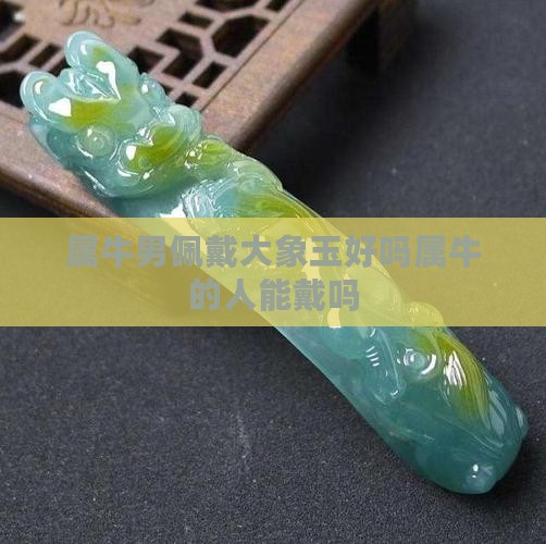 属牛男佩戴大象玉好吗
