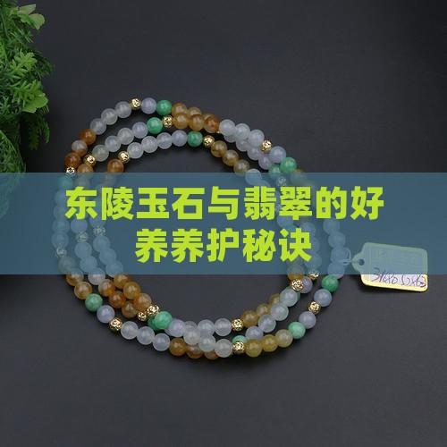 东陵玉好养吗