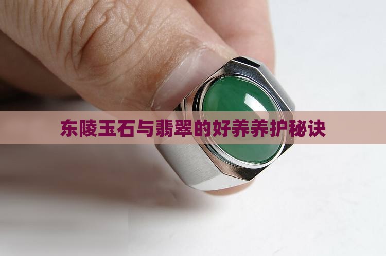 东陵玉好养吗