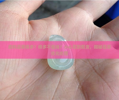 危料翡翠棉多