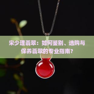 宋少理翡翠