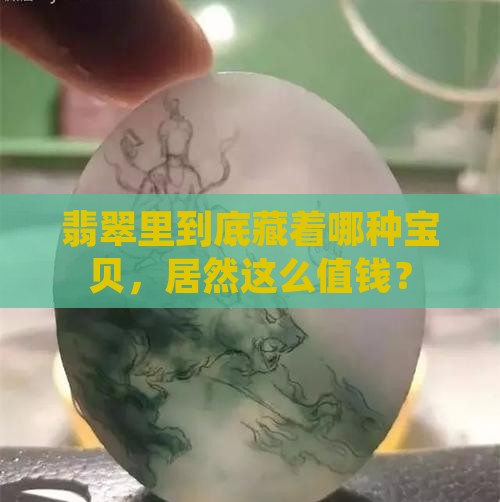翡翠里最贵的品种