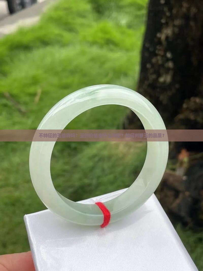 不特征的玉值钱吗