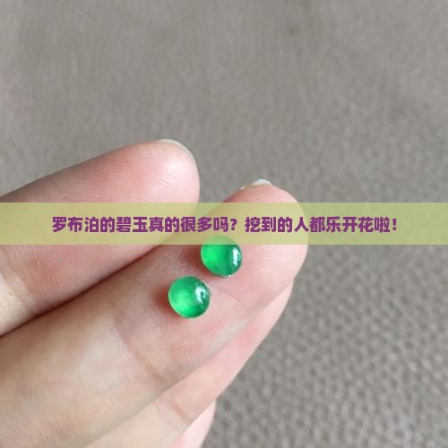 罗布泊碧玉多吗