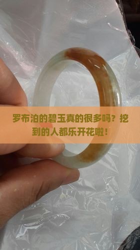 罗布泊碧玉多吗