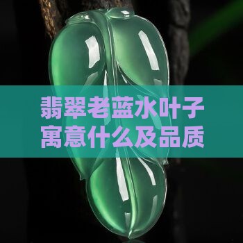 翡翠老蓝水叶子寓意什么
