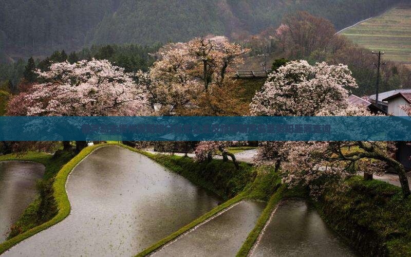 葫芦岛去贵州贵阳旅行社怎么走及路犀葫芦岛至贵阳距离查询