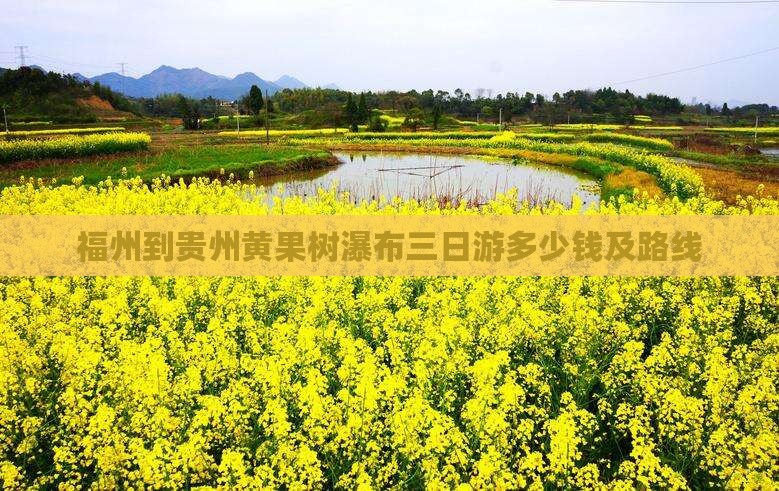 福州到贵州黄果树瀑布三日游多少钱及路线