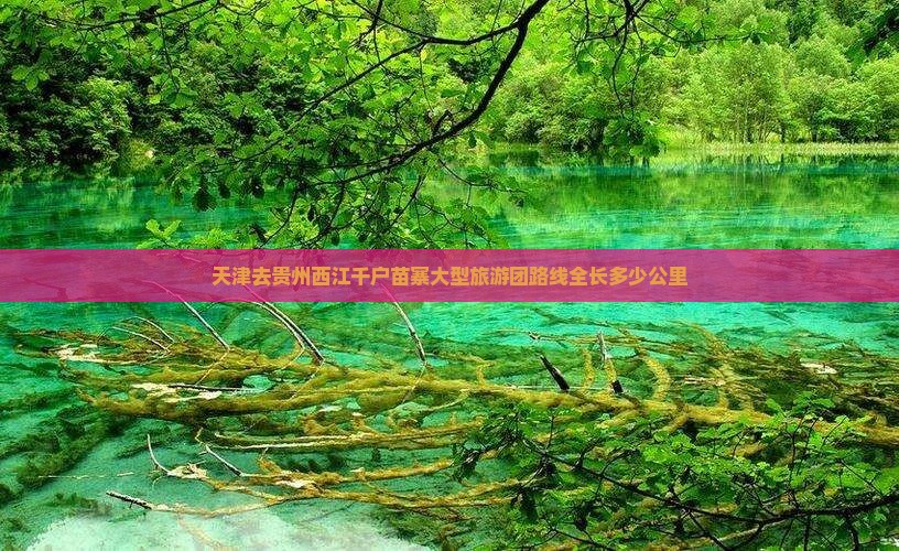天津去贵州西江千户苗寨大型旅游团路线全长多少公里